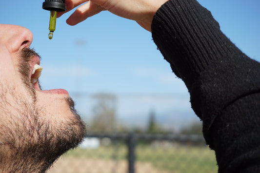how to take cbd oill - zen bliss