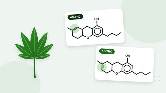Illustration of a hemp leaf beside the molecules of Delta-9 THC and Delta-8 THC, with the one double bond that differs highlighted