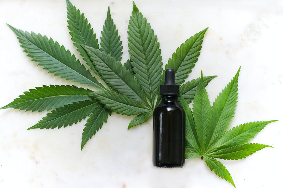 Complete Guide on How to Make CBD Tinctures (2021)