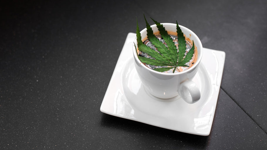 Can You Use CBD Oil To Make CBD Infused Drinks?