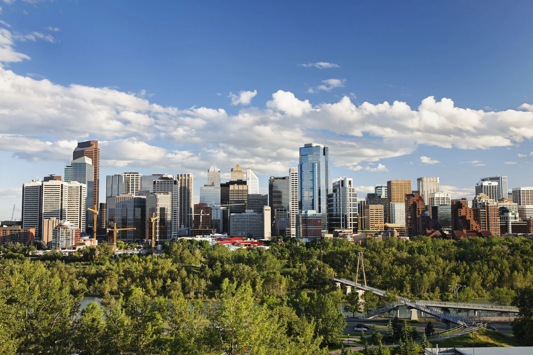CBD Oil Calgary